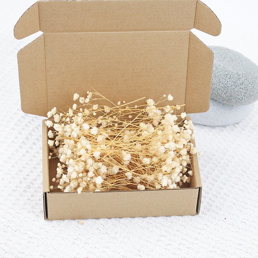 Flores Secas de Gypsophila (Mo - Craft Embellishments avaliação e preço