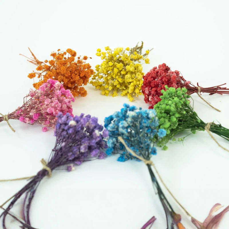 Flores Secas de Gypsophila (Mo - Craft Embellishments avaliação e preço